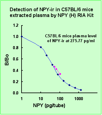 Neuropeptide Y Npy