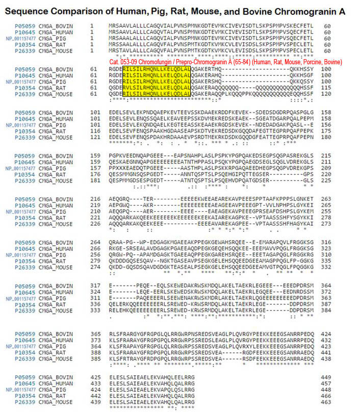 sequence comparison for prepro chromoganin a