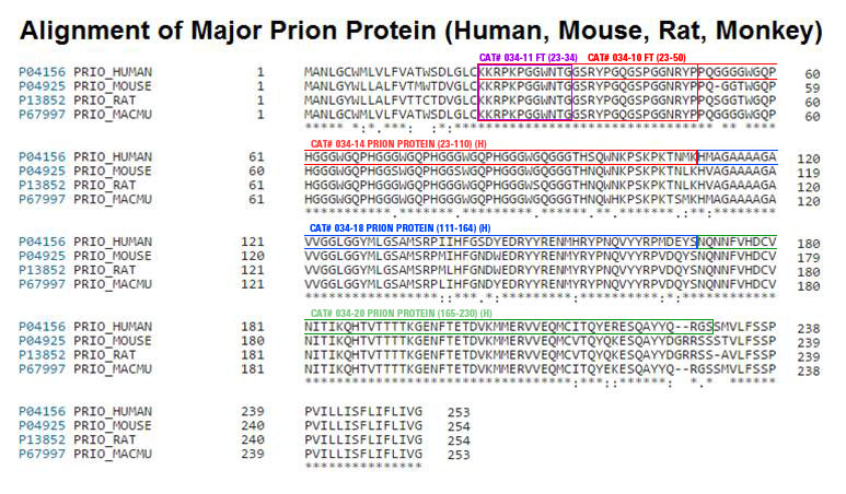 Major Prion Protein Alignment